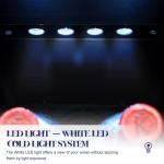 Kalamera 12-Bottle Wine Refrigerator with Stainless Steel Door