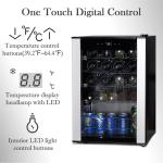 SMETA 19 Bottle Wine Fridge - Stainless Steel