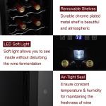 Mini Wine Fridge with Clear Glass Door