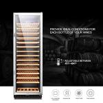 Lanbo Single Zone Wine Cooler - 171 Bottles