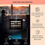 Klarstein Vinsider Built-in Wine Cooler: Onyx, 24 Bottles