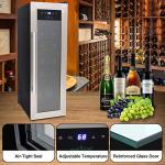12-Bottle Wine Fridge with Digital Control