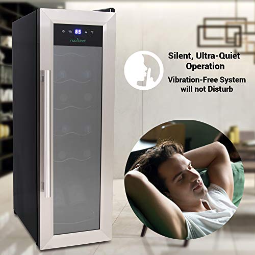 Compact Wine Fridge with Digital Control