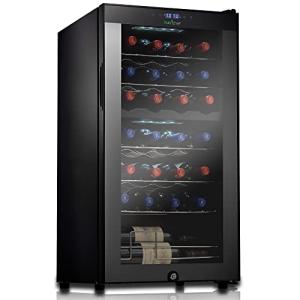 28 Bottle Dual-Zone Wine Fridge in Black