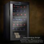 28 Bottle Dual-Zone Wine Fridge in Black
