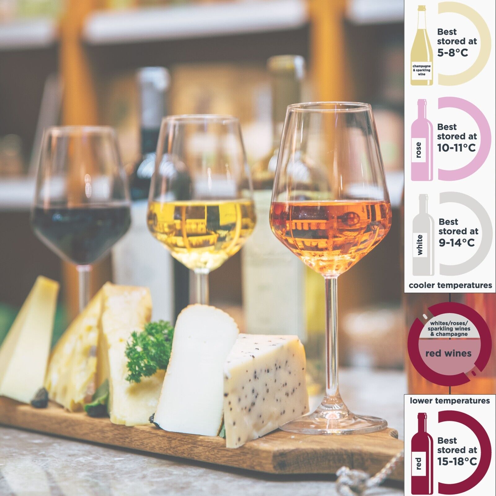 Cookology 60cm Stainless Steel Wine Fridge - 54 Bottle