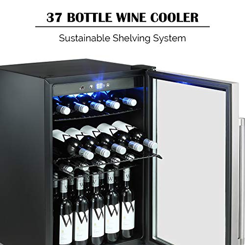 37-Bottle Single Zone Wine Cooler with Stainless Steel Door