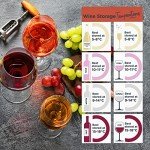 Cookology 20-Bottle Stainless Steel Wine Cooler