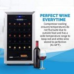 NewAir Stainless Steel Wine Fridge | 33 Bottle Capacity