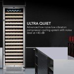 Whynter BWR-1642DZ Dual Zone Compressor Wine Fridge