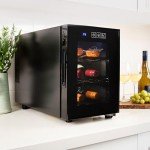 Black 6 Bottle Koolatron Wine Fridge