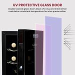 Black 6 Bottle Koolatron Wine Fridge
