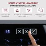 Black 20-Bottle Thermoelectric Wine Fridge for Home