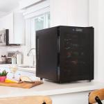 Black 20-Bottle Thermoelectric Wine Fridge for Home
