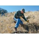 Bounty Hunter Quick Draw Pro Pin Pointer Detector