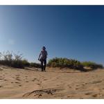 Bounty Hunter Quick Draw Pro Pin Pointer Detector