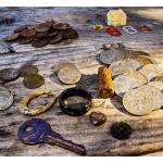 Bounty Hunter Quick Draw Pro Pin Pointer Detector