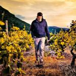 XP Deus II Metal Detector with 28" FMF Coil