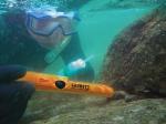 Garrett Waterproof Pro Pointer AT Metal Detector