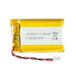 XP Metal Detector Lithium Battery for WS6/ST