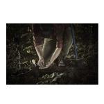 Minelab X-Terra Pro Metal Detector with Pro-Find 15