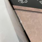 Minelab X-Terra Intrepid Pin Pointer Detector