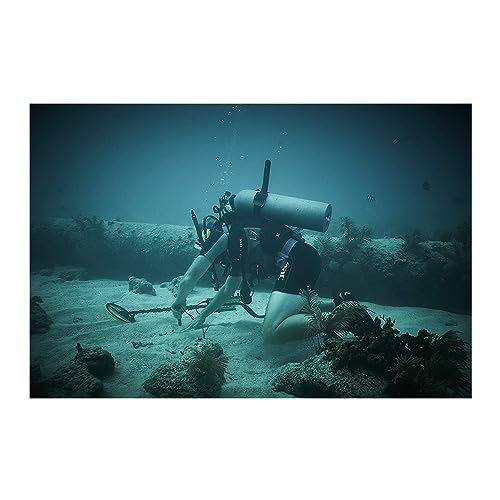 Minelab X-Terra Pro Metal Detector Bundle with Pinpointer