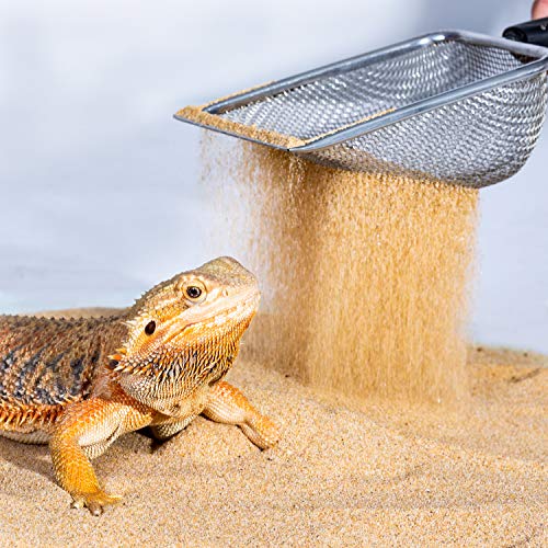 Durable Stainless Steel Metal Sand Shovel for Reptiles