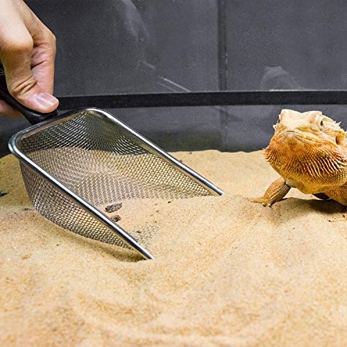 Durable Stainless Steel Metal Sand Shovel for Reptiles