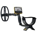 Garrett ACE Apex Metal Detector with Viper Coil