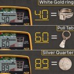 ACE 300 Waterproof Metal Detector with Headphones