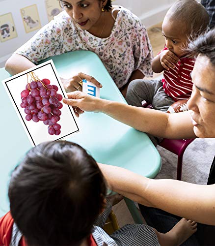 Toddler Flash Cards: Vocabulary for Early Learning Ages 3+