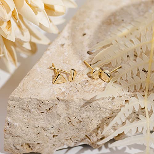 Tiny Dot Triangle Disc 14K Gold Earrings Women