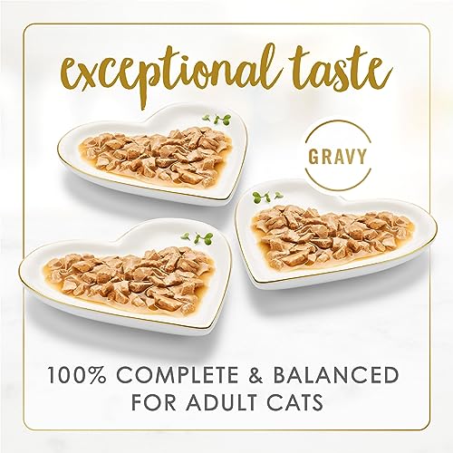 Purina Fancy Feast Gravy Lovers Cat Food Variety Pack
