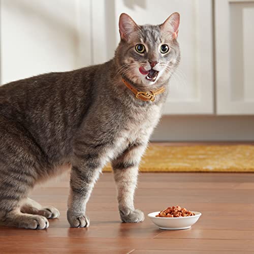 Meow Mix Seafood Variety Pack Wet Cat Food