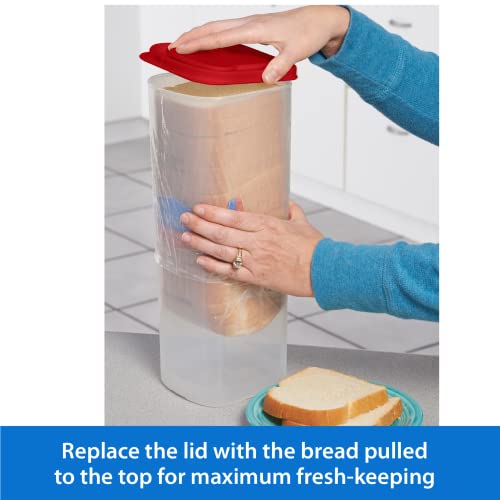 Buddeez Bread Buddy Box: Red Lid, Pack of 1