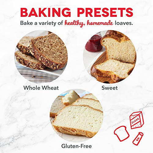 Stainless Steel Bread Maker with Gluten-Free Option