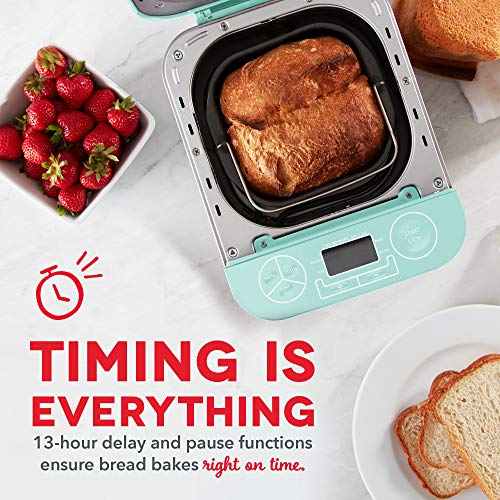 Stainless Steel Bread Maker with Gluten-Free Option