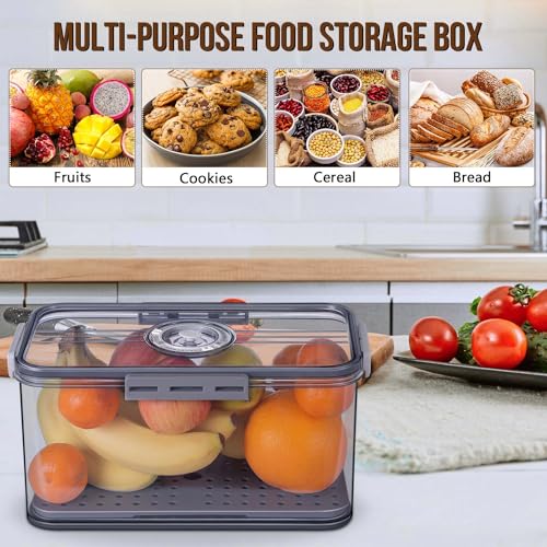 Grey Bread Box with Time Recording Lid