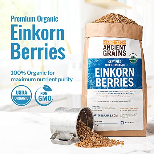 Ancient Grains Combo: Organic Einkorn & Farro, 5 lbs