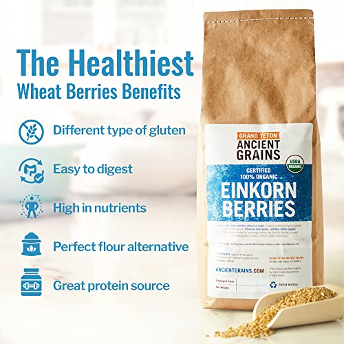 Ancient Grains Combo: Organic Einkorn & Farro, 5 lbs