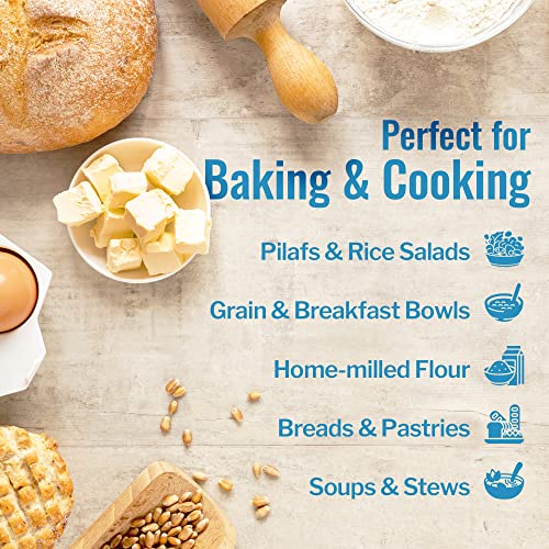 Ancient Grains Combo: Organic Einkorn & Farro, 5 lbs