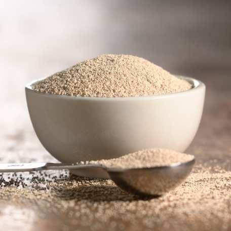 1lb SAF Instant Yeast Red for Bread Making