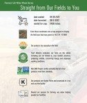 Soft White Wheat Berries - 5 lbs Non-GMO