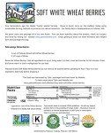 Soft White Wheat Berries - 5 lbs Non-GMO