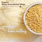 Organic Hulled Millet - 25 Pound Bag