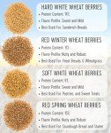 Hard Red Winter Wheat Berries - 5 lbs Non-GMO