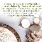 Organic Multi-Purpose Cassava Flour - 24 oz