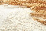 High Gluten Flour for Bread, Bagels & Pizza