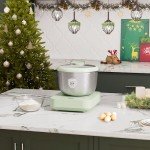 Electric Dough Maker with Ferment & Weighing Functions